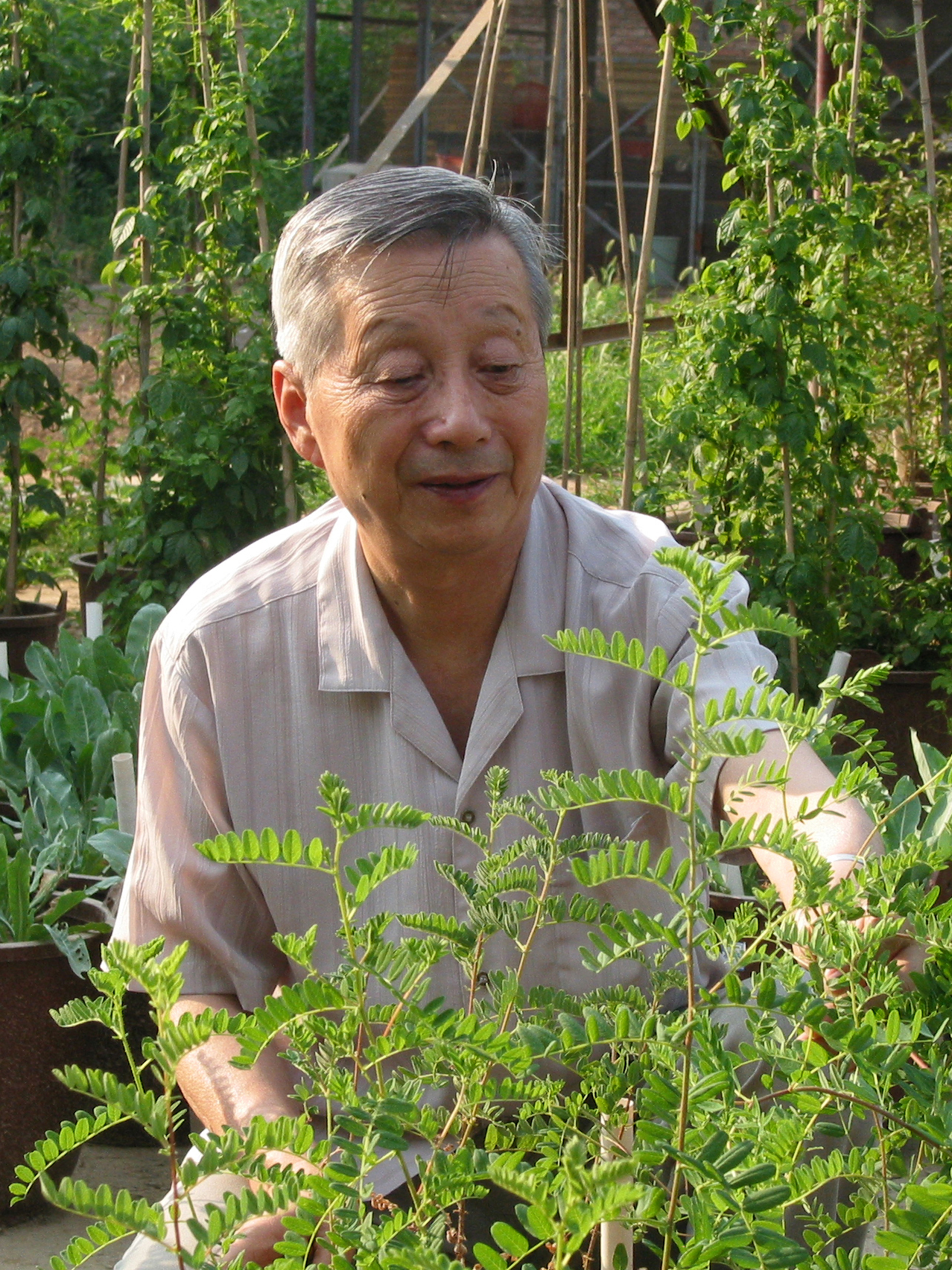 山仑